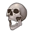Skeleton Skull — game art